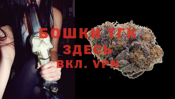 шишки Бородино