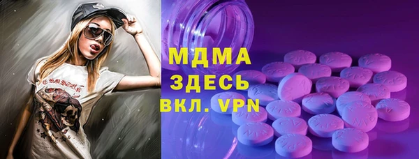 шишки Бородино