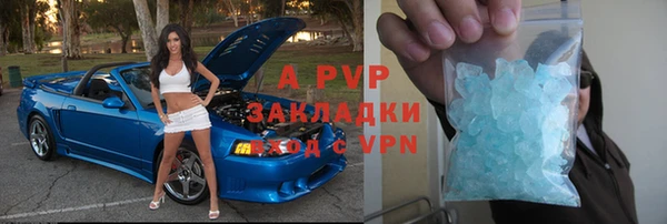 стафф Бронницы