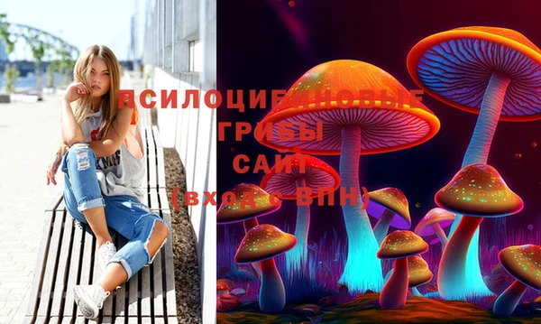 jwh Верея