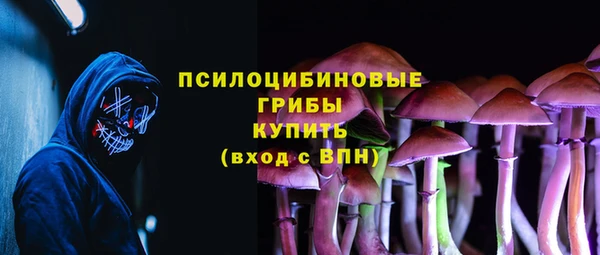 шишки Бородино