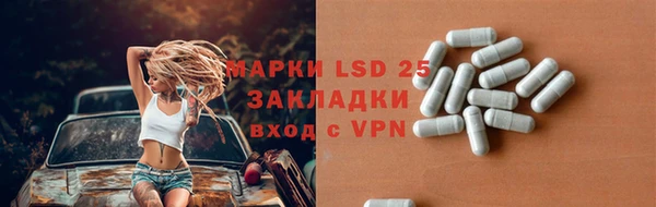 шишки Бородино