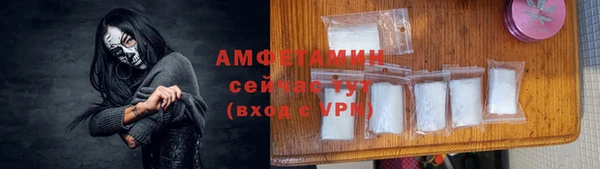 шишки Бородино