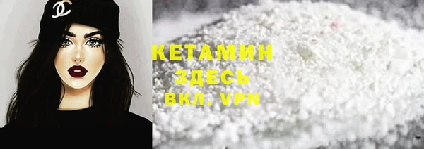шишки Бородино